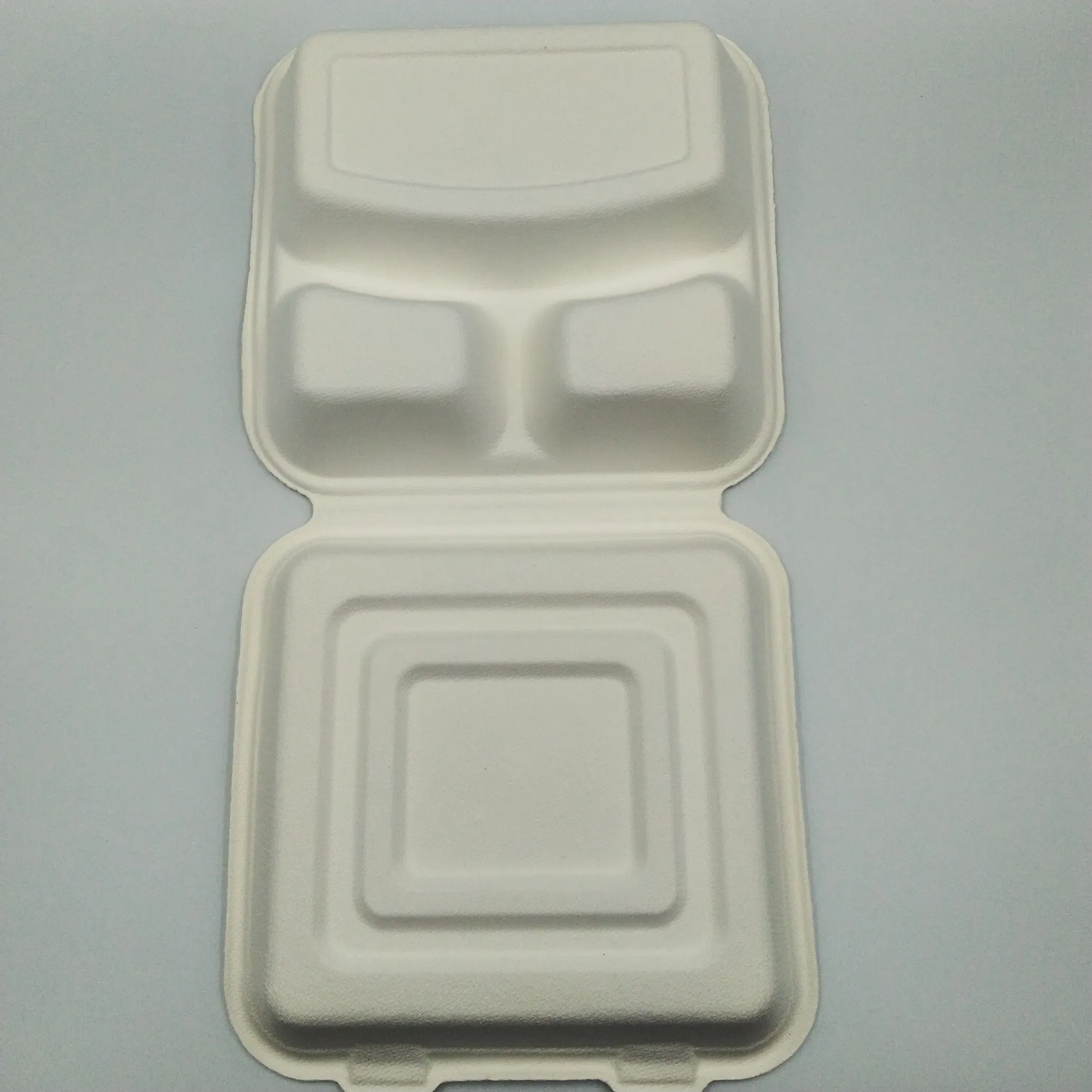 100% Environmental Degradable Disposable Bagasse Food Box