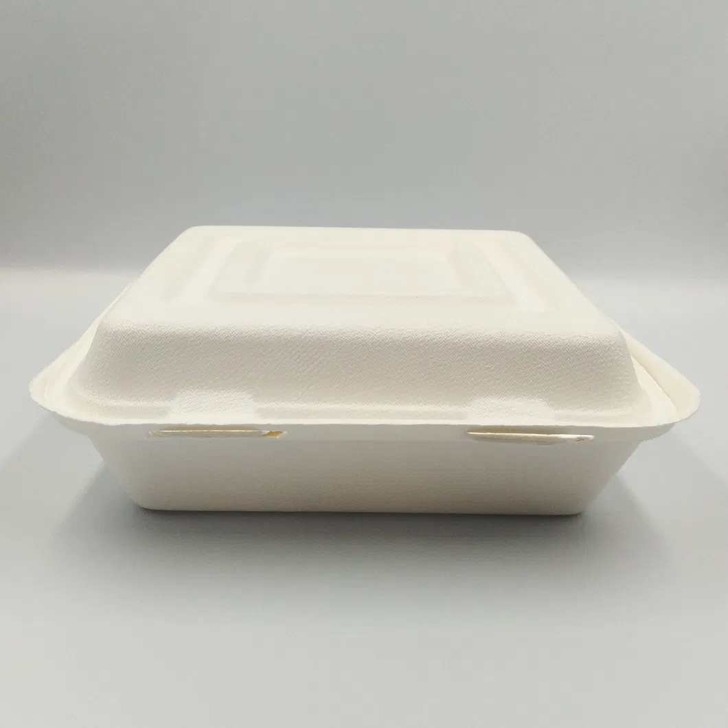 100% Environmental Degradable Disposable Bagasse Food Box