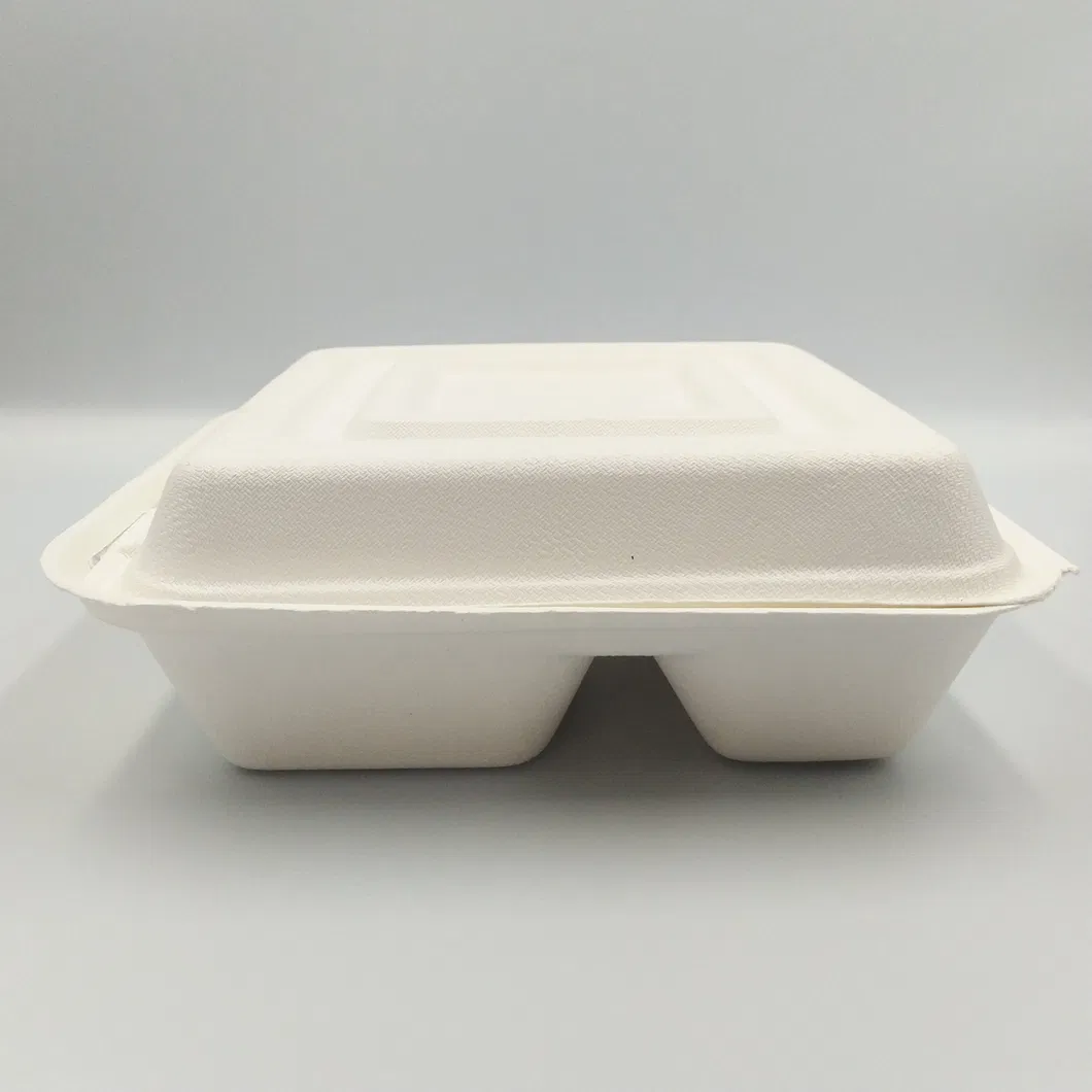 100% Environmental Degradable Disposable Bagasse Food Box