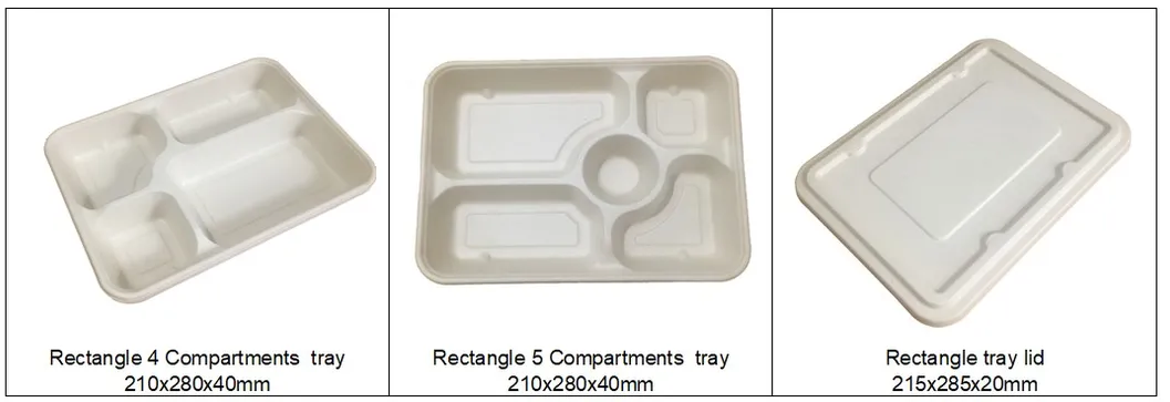 1000ml Disposable Paper Meal Box Salad Box Degradable Lunch Box Sushi Box Food Takeout Packaging Box 2 Compartments Lunch Box with Lid 1000ml, 9X5X3 Inch