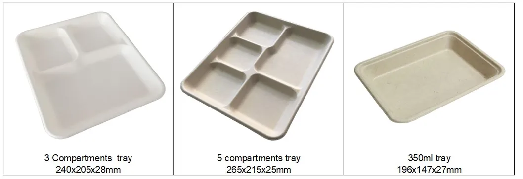 1000ml Disposable Paper Meal Box Salad Box Degradable Lunch Box Sushi Box Food Takeout Packaging Box 2 Compartments Lunch Box with Lid 1000ml, 9X5X3 Inch