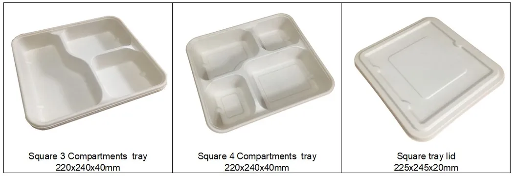 1000ml Disposable Paper Meal Box Salad Box Degradable Lunch Box Sushi Box Food Takeout Packaging Box 2 Compartments Lunch Box with Lid 1000ml, 9X5X3 Inch