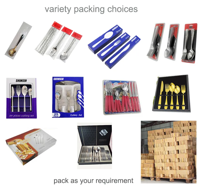 1010 Series 5 Pieces Silverware 18 10 Stainless Steel Cutlery Set with FDA Certificate