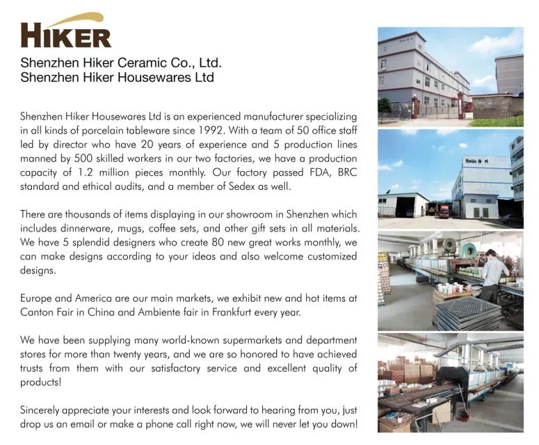 12~16PCS Porcelain Round Shape Dinner Set