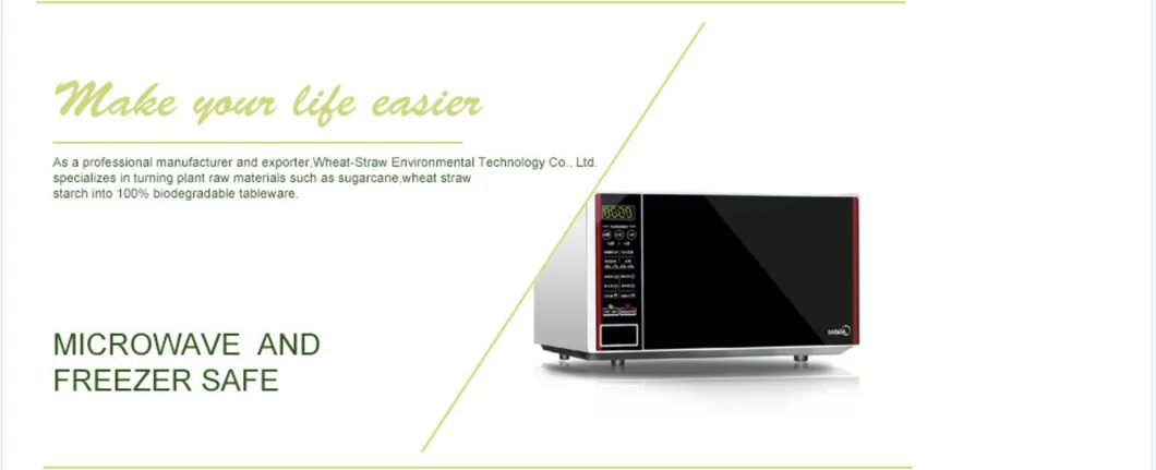 2020 Renewable Natural Fiber Sugar Cane Burger Snack Dinner 2 Containers Food Packaging Clam Shell