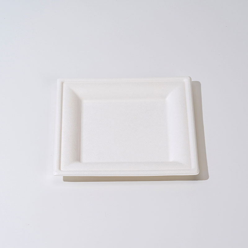 Why Choose Sugarcane Pulp Square Tray for Sustainable Packaging?