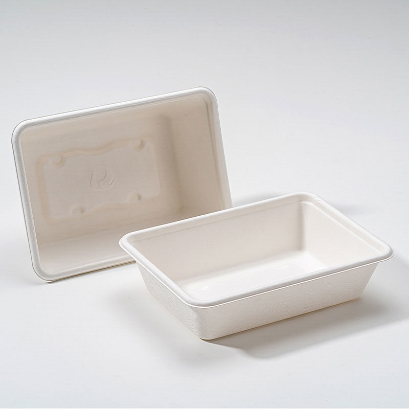 Why Bagasse Square Box Is Becoming the Future of Sustainable Food Packaging?