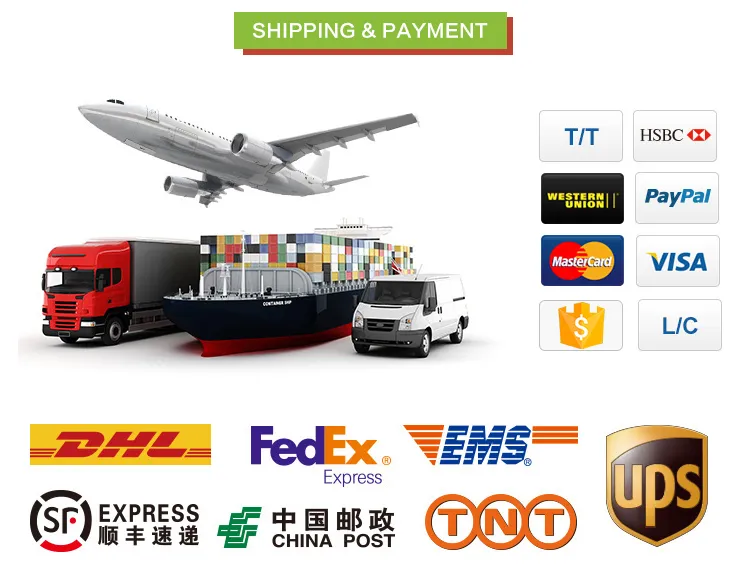 500ml 18oz Bagasse Salad Tableware Bowl with Pet Lid Cover Cookware Set