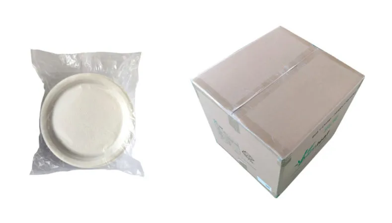 500ml 18oz Bagasse Salad Tableware Bowl with Pet Lid Cover Cookware Set