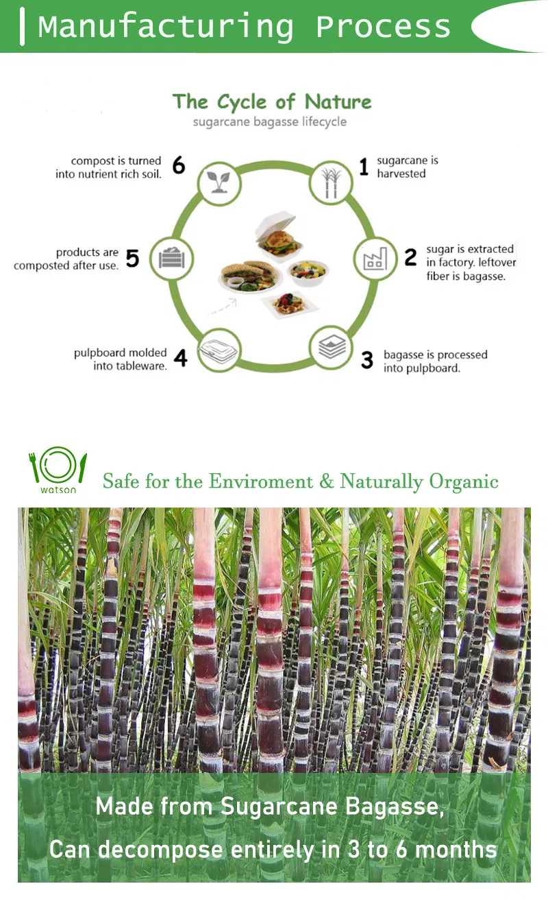 600ml Disposable Container Takeaway Food Box Degradable Tableware Rigid Paper Snack Container