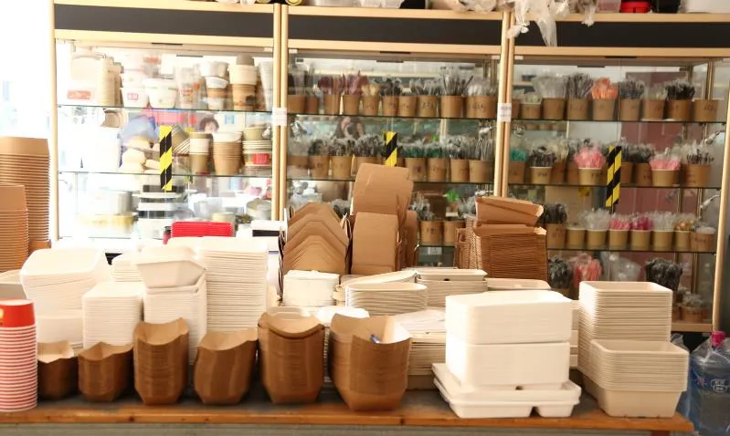 850ml White Color Bagasse Salad Bowl with Lid for Take Away