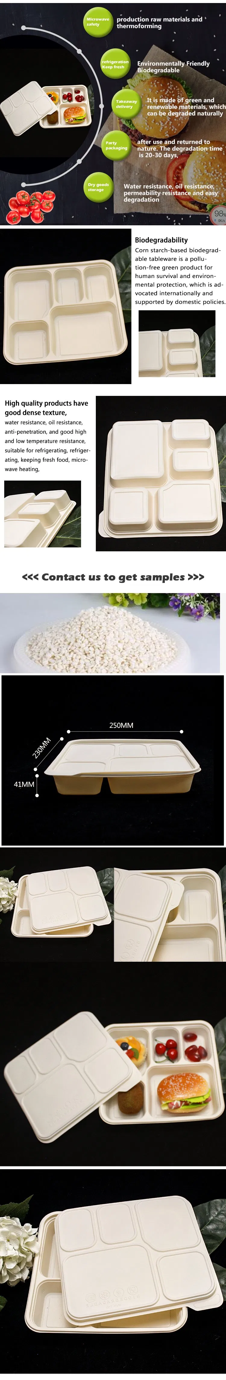 Airline Disposable Lunch Trays Biodegradable Biobased Compartment Food Tray with Lid