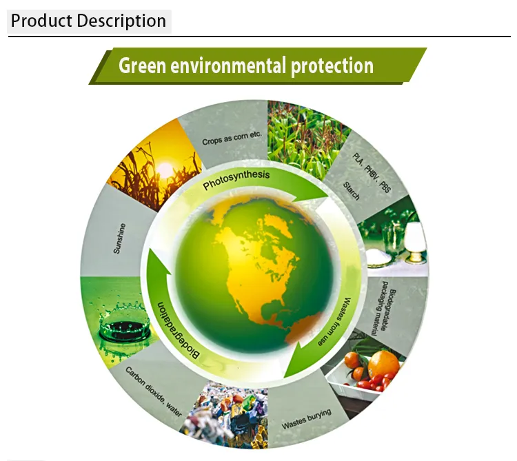 Airline Disposable Lunch Trays Biodegradable Biobased Compartment Food Tray with Lid