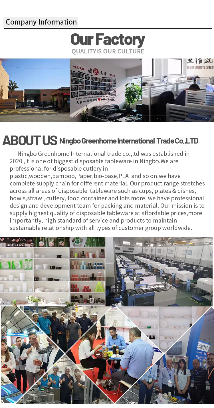 Airline Disposable Lunch Trays Biodegradable Biobased Compartment Food Tray with Lid