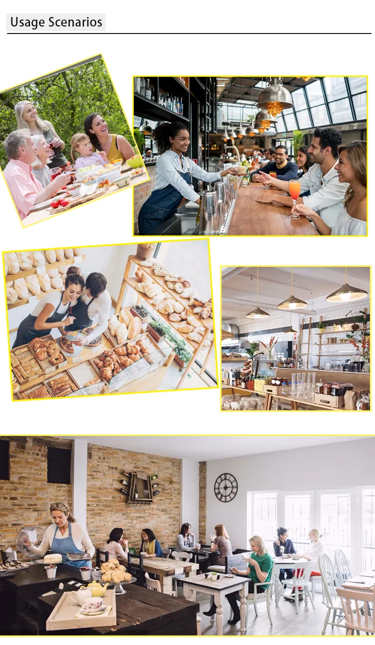 Airline Disposable Lunch Trays Biodegradable Biobased Compartment Food Tray with Lid