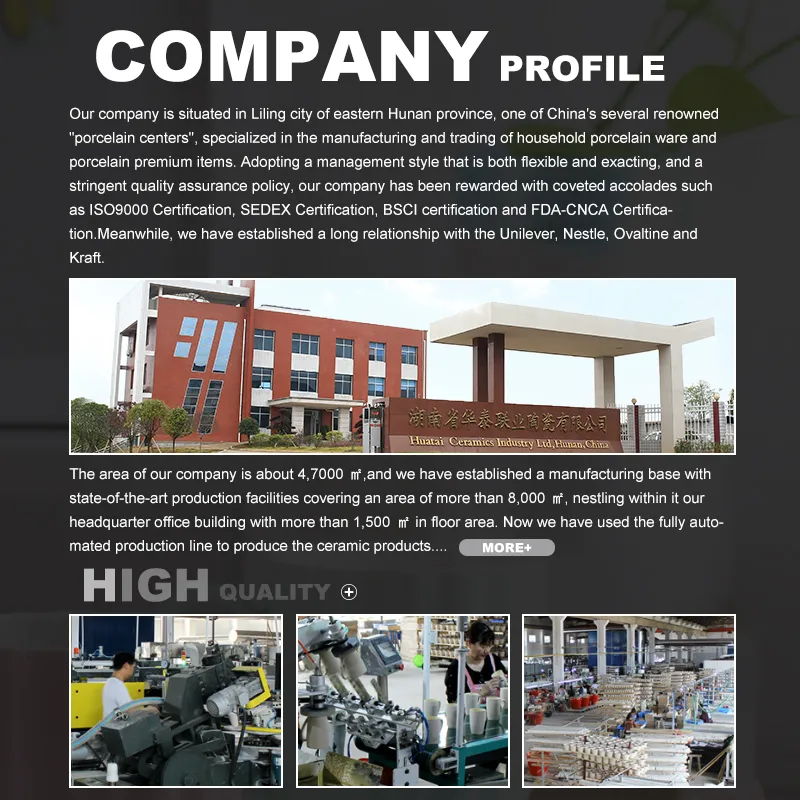 Best Selling New Products Cartoon Animal Pattern Children Ceramic Dinnerware Set