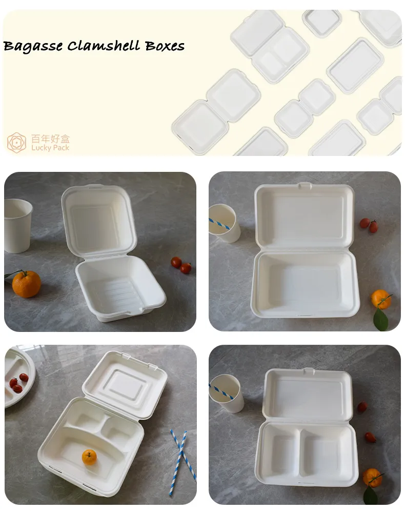 Biodegradable Compostable Disposable Degradable Eco Friendly Sugarcane Bagasse Dinnerware