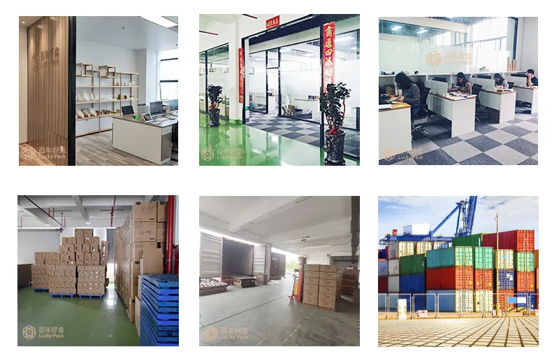 Biodegradable Compostable Disposable Degradable Eco Friendly Sugarcane Bagasse Dinnerware