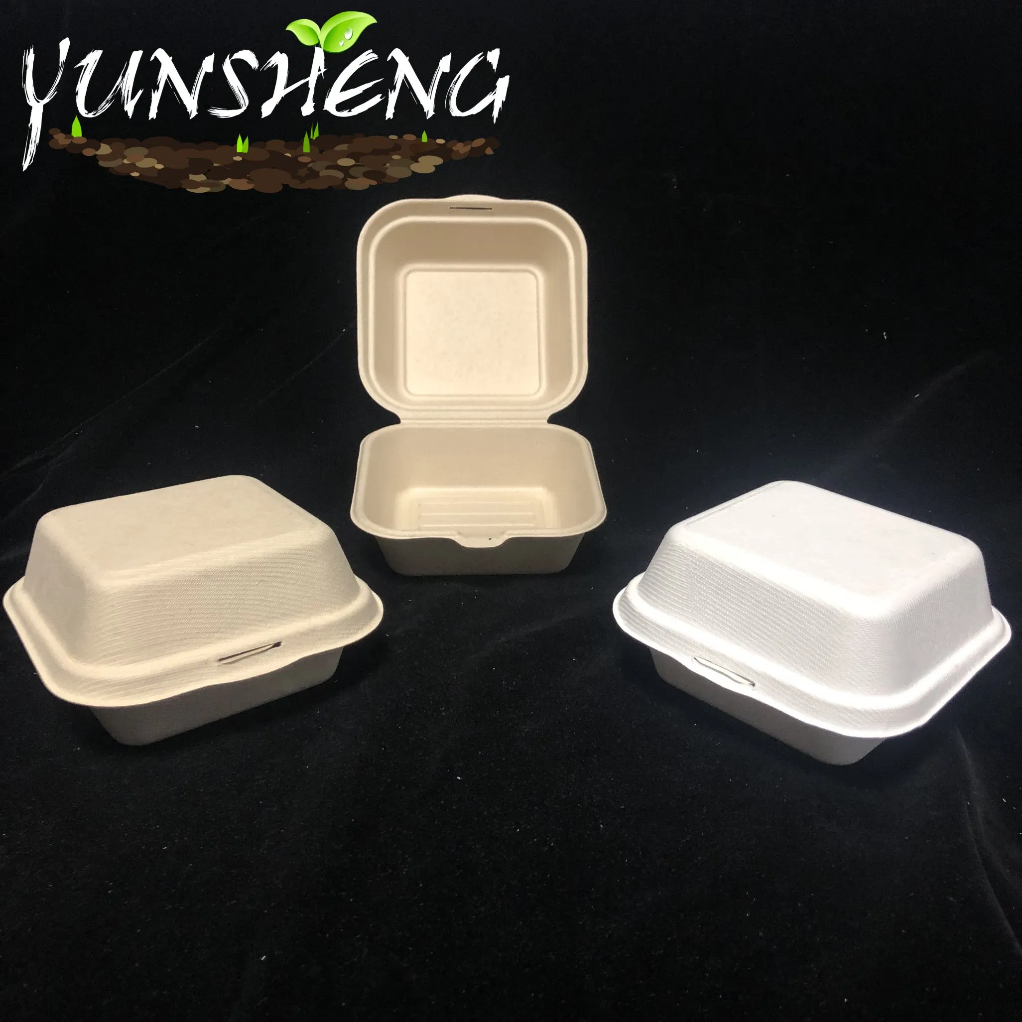 Biodegradable Compostable Sugarcane Bagasse Paper Box with Clamshell