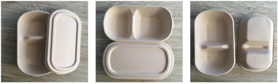Biodegradable Disposable 850ml Two Compartments Carryout Food Box with Lid