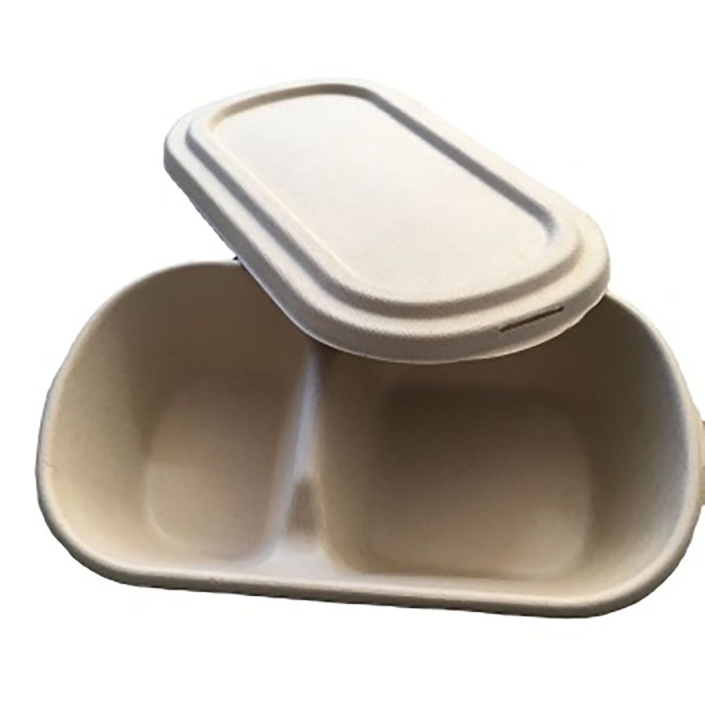 Biodegradable Disposable 850ml Two Compartments Carryout Food Box with Lid