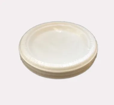 Biodegradable Food Packaging Bagasse 250ml Square Box, Sugar Cane Dinner Box