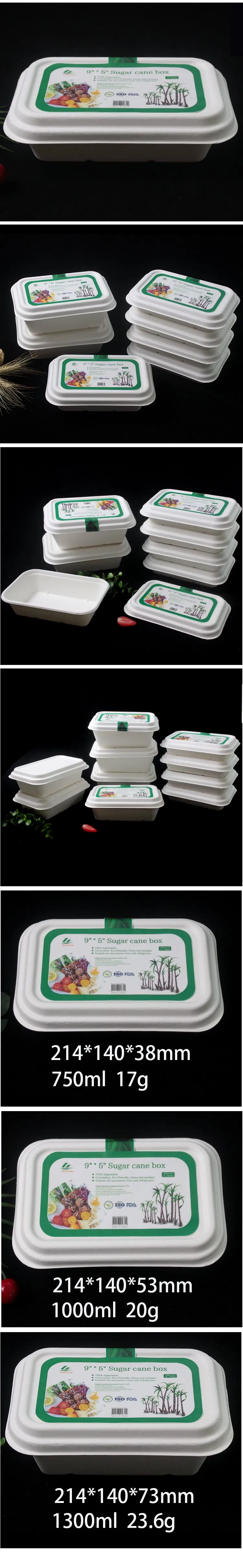 Biodegradable PP Clamshell Food Box/ Disposable PP Lunch Box Bento Box