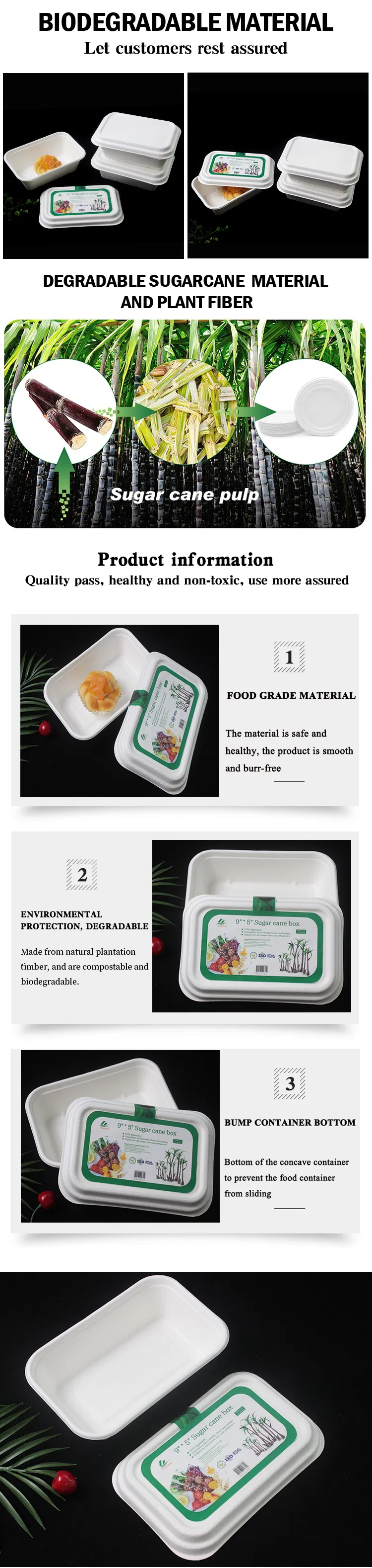 Biodegradable PP Clamshell Food Box/ Disposable PP Lunch Box Bento Box