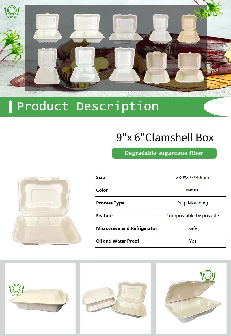 Box Packaging Snack Eco-Friendly Meal Box Oil and Water Resistant Dinner Container