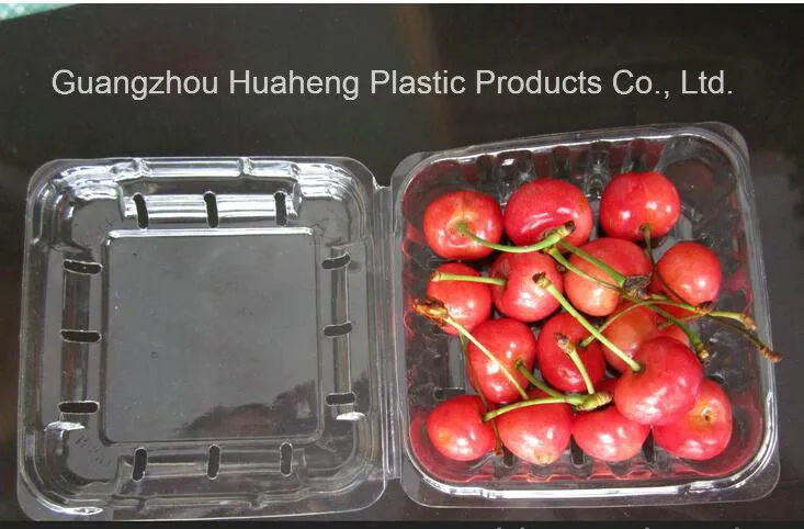 Clear Disposable Plastic Tray Fruit Packaging Tray Vegetable Packaging Tray