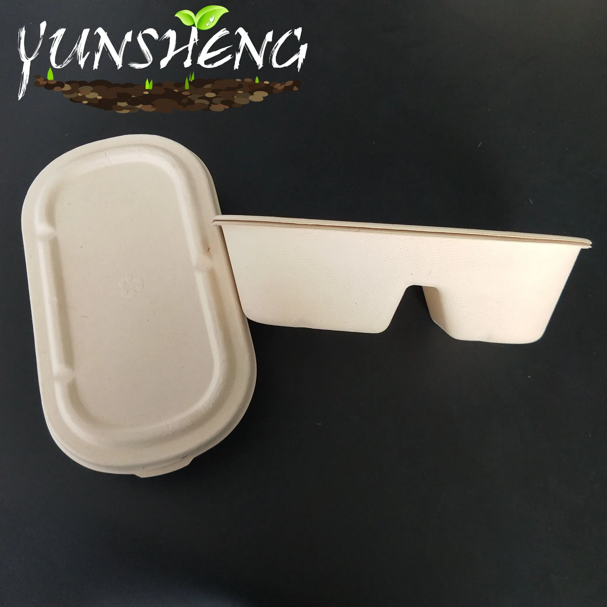 Compostable Disposable Paper Box for Take out Food Which Made by Biodegradable Bamboo Pulp or Sugarcane Bagasse Pulp Lid