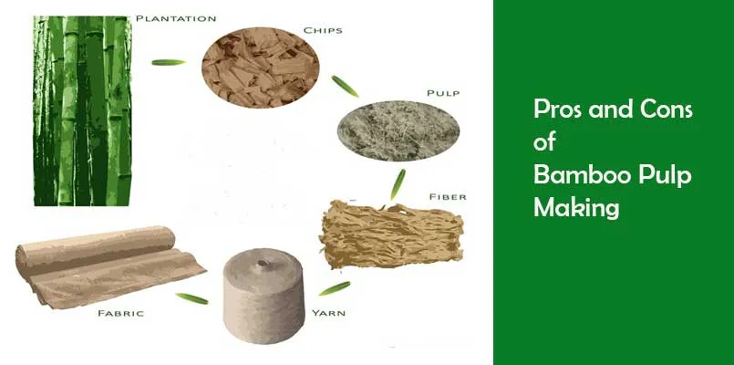 Compostable Disposable Paper Food Boxes with Clamshell for Fastfood Just Like Hamburger or Fries Food etc.