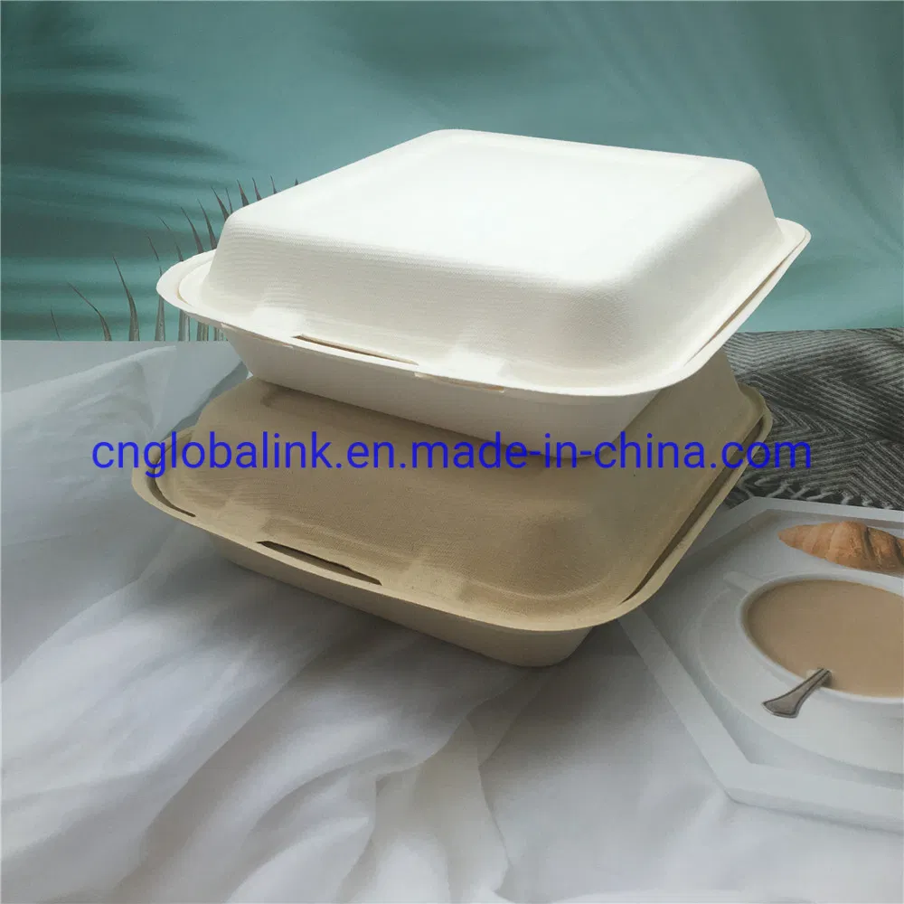 Compostable Tableware Food Packaging Fast Food Takeaway Dinner Container