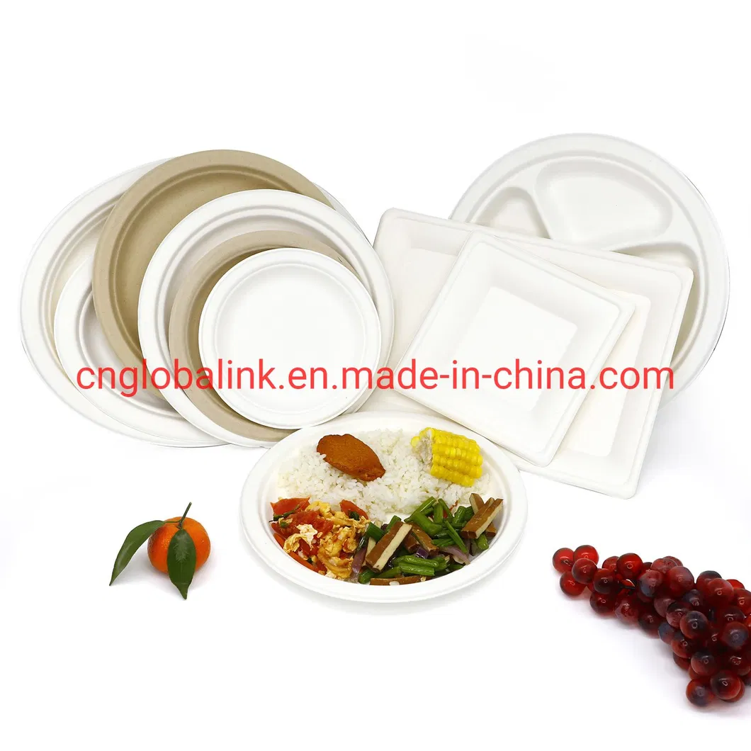 Compostable Tableware Food Packaging Fast Food Takeaway Dinner Container