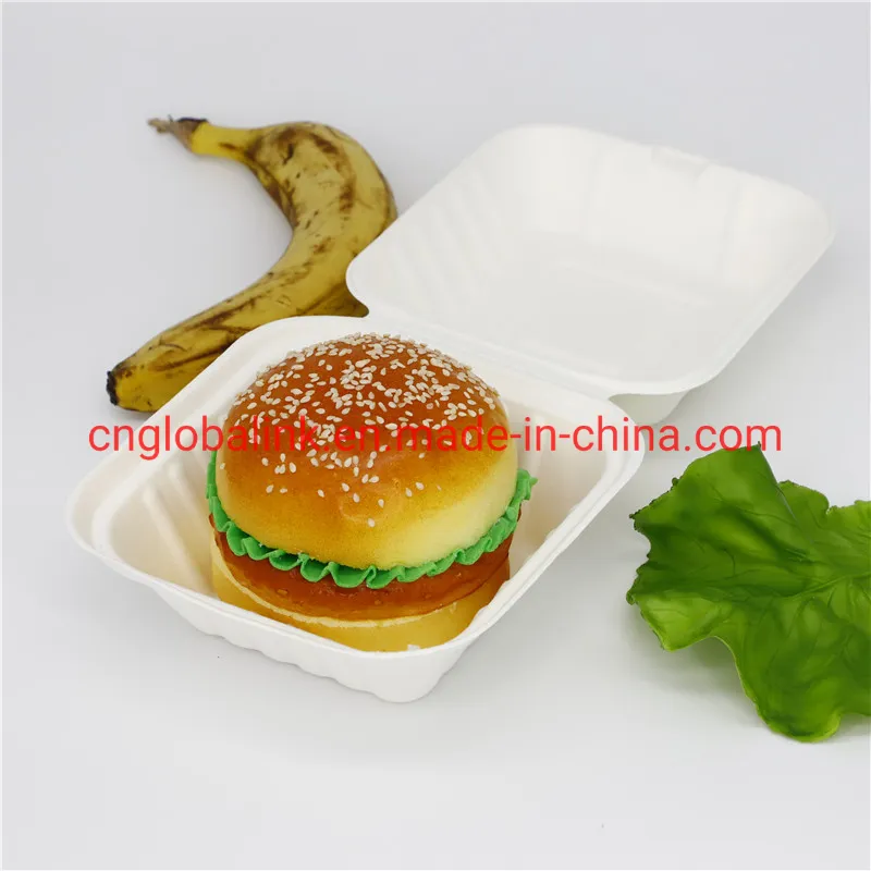 Compostable Tableware Food Packaging Fast Food Takeaway Dinner Container