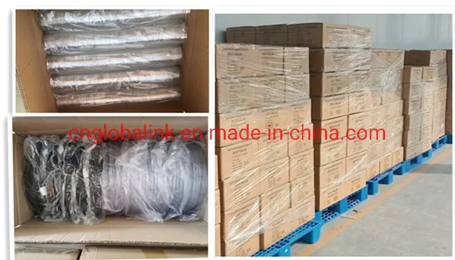 Compostable Tableware Food Packaging Fast Food Takeaway Dinner Container