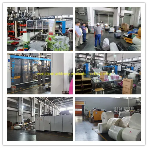 Degradable Eco-Friendly Natural Disposable Tableware 7 Inch Biodegradable Dishware