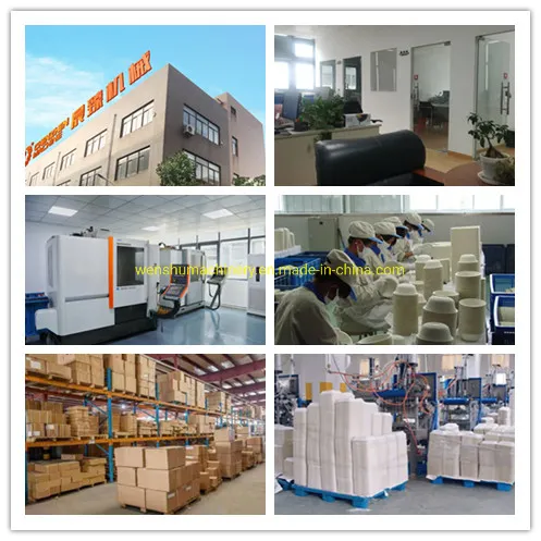 Degradable Eco-Friendly Natural Disposable Tableware 7 Inch Biodegradable Dishware