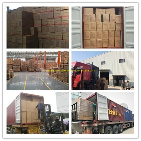 Degradable Eco-Friendly Natural Disposable Tableware 7 Inch Biodegradable Dishware