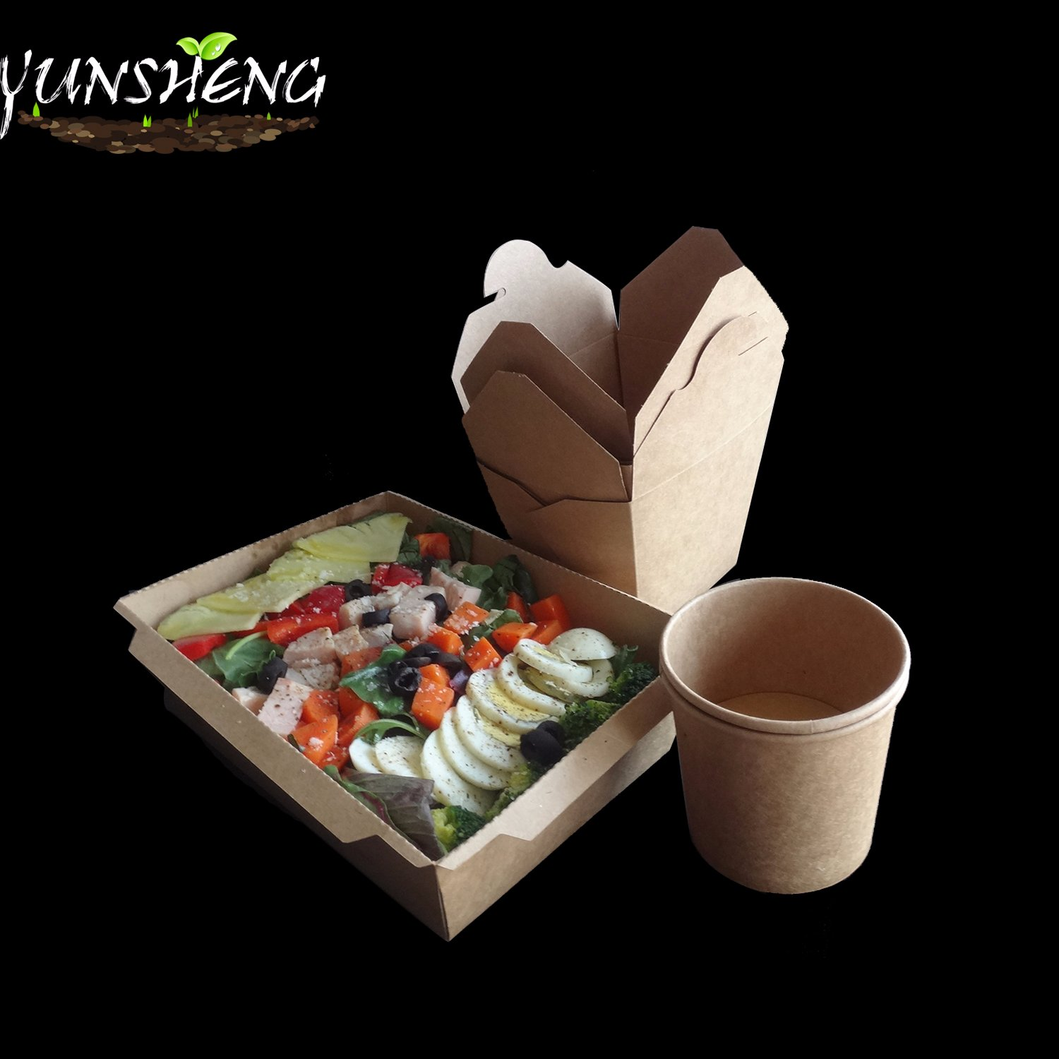 Deli Take out Containers/to Go Food Containers with Lids