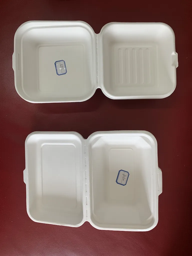 Disposable Degradable Bagasse Clam Shell Food Container