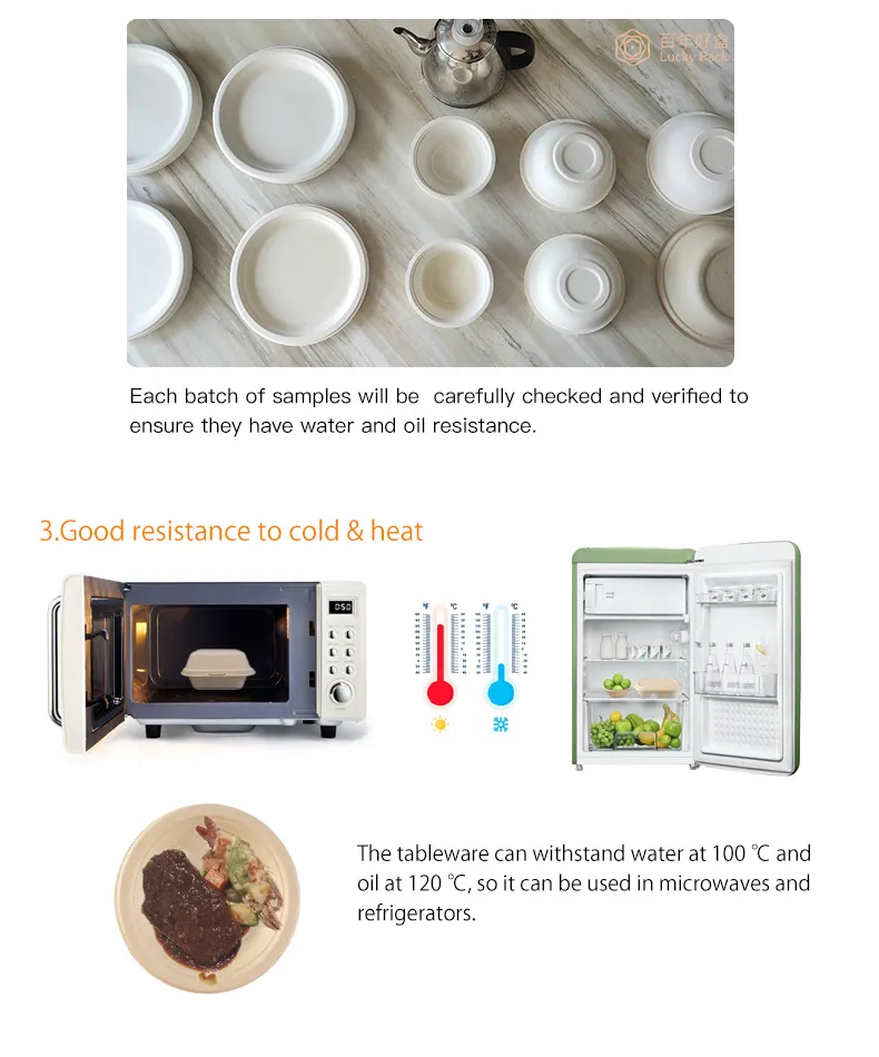 Disposable Eco Friendly Biodegradable Compostable Degradable Sugarcane Bagasse Lunch Box