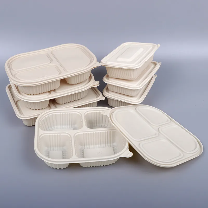 Disposable Lunch Box