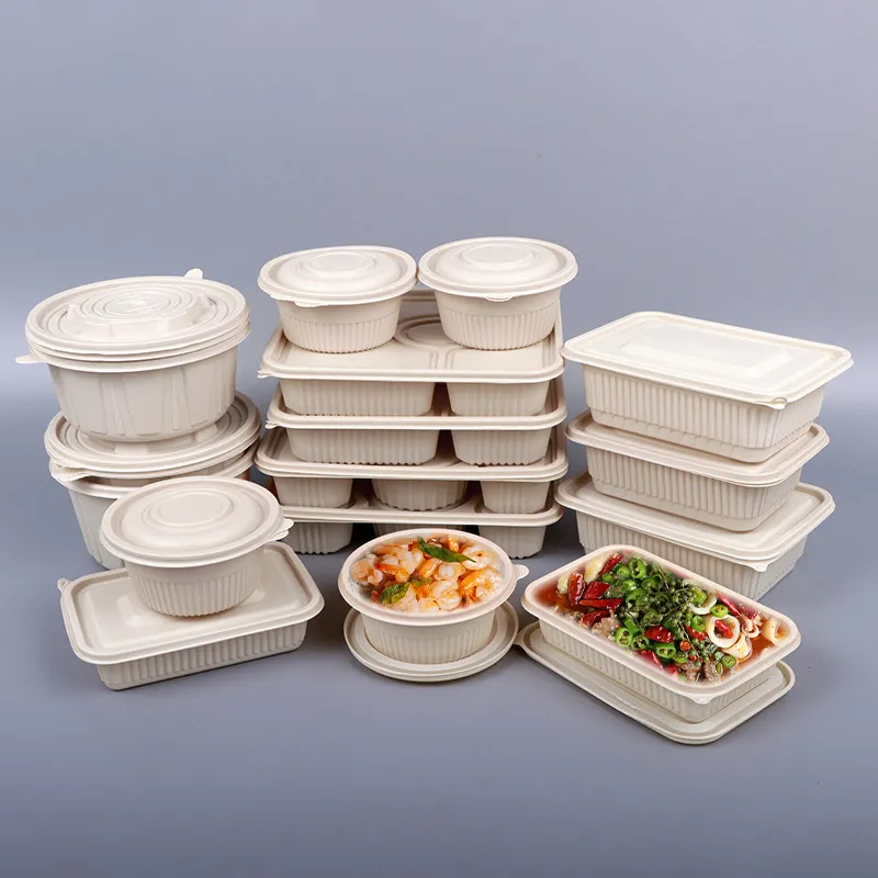 Disposable Lunch Box