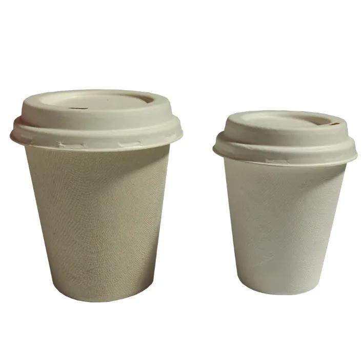 Disposable Single Compartment Clamshell Eco Container Boxes Restaurant Carryout Lunch Meal Takeout Storage Box