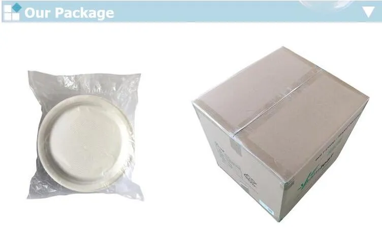 Disposable Single Compartment Clamshell Eco Container Boxes Restaurant Carryout Lunch Meal Takeout Storage Box