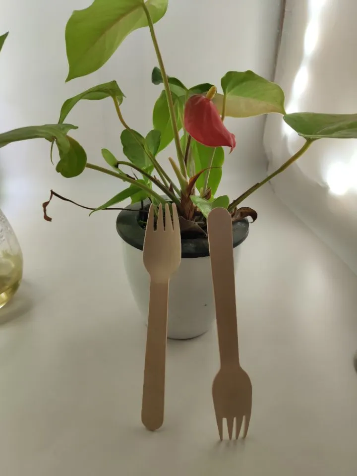 Disposable Wooden Fork Biodegradable Eco-Friendly Tableware Cake Fruit Fork FDA