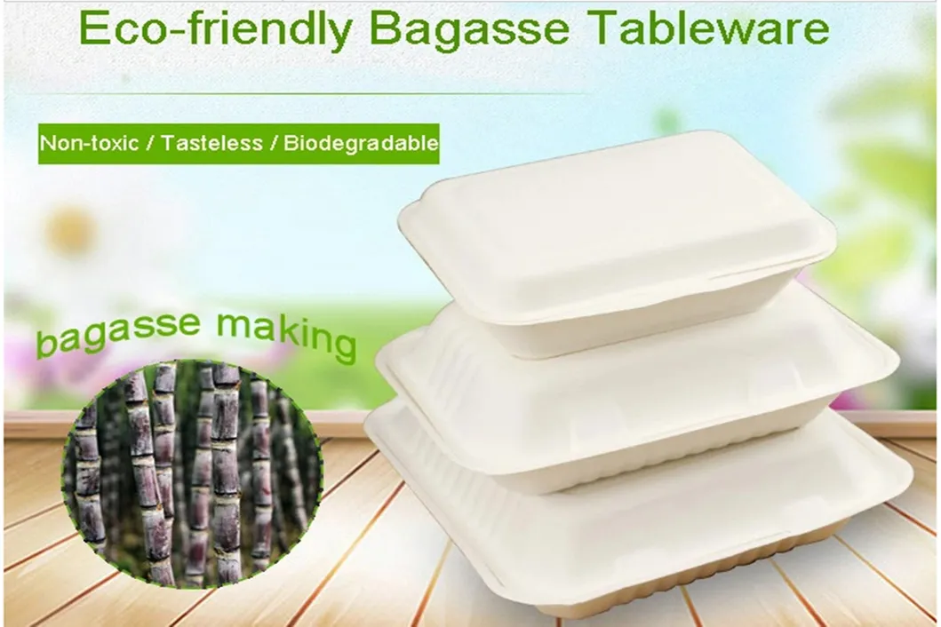 Eco-Friendly Heating 8 Inch Lunch Biodegradable Disposable Food Container