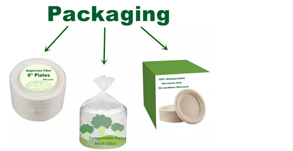 Eco-Friendly Heating 8 Inch Lunch Biodegradable Disposable Food Container