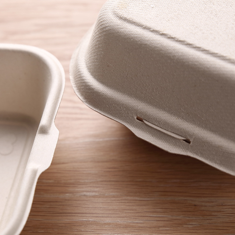 Factory Environmentally Friendly Carry out Biodegradable Disposable Takeaway Food Container